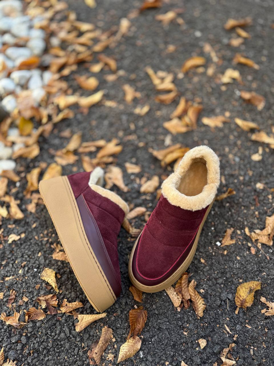 Фото Federica Lancioni