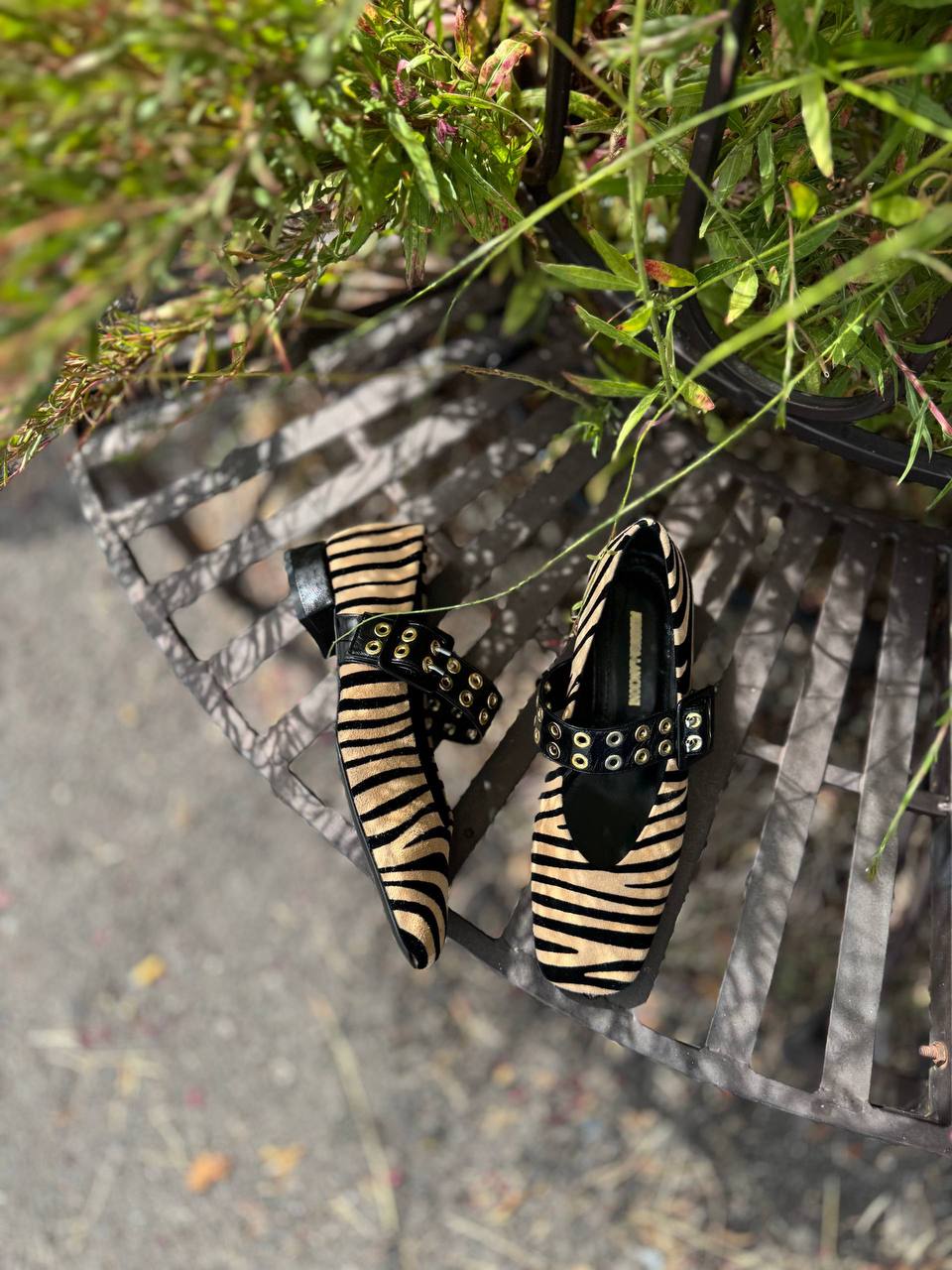 Фото Federica Lancioni