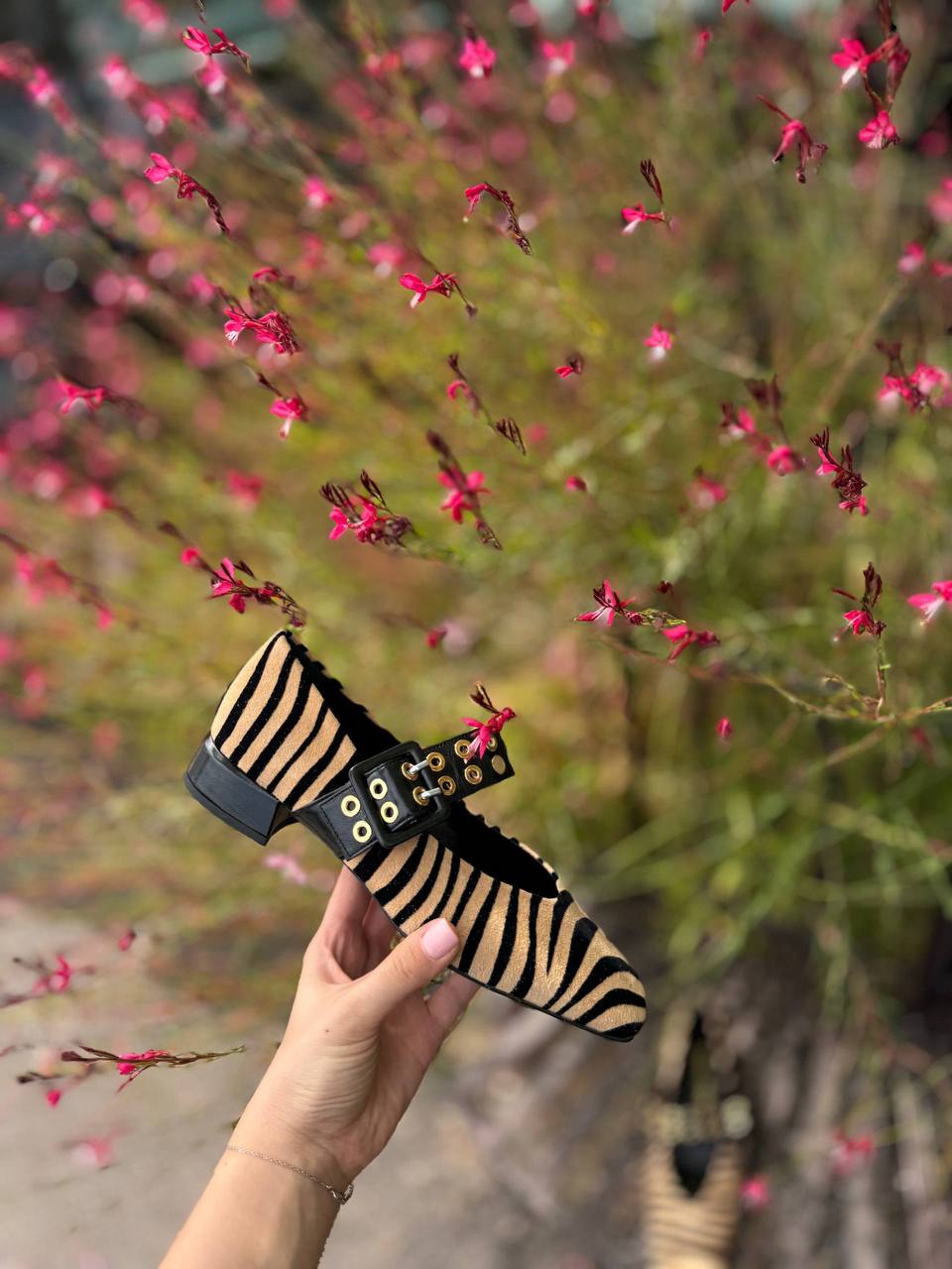 Фото Federica Lancioni