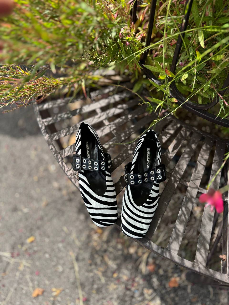 Фото Federica Lancioni