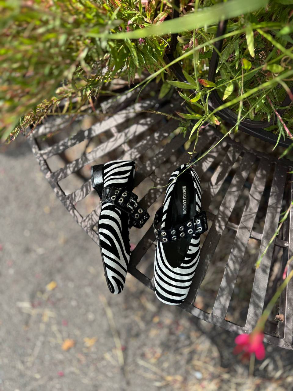 Фото Federica Lancioni