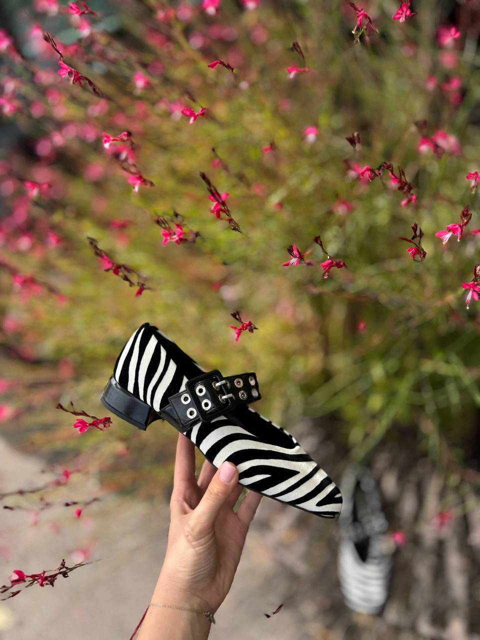 Фото Federica Lancioni