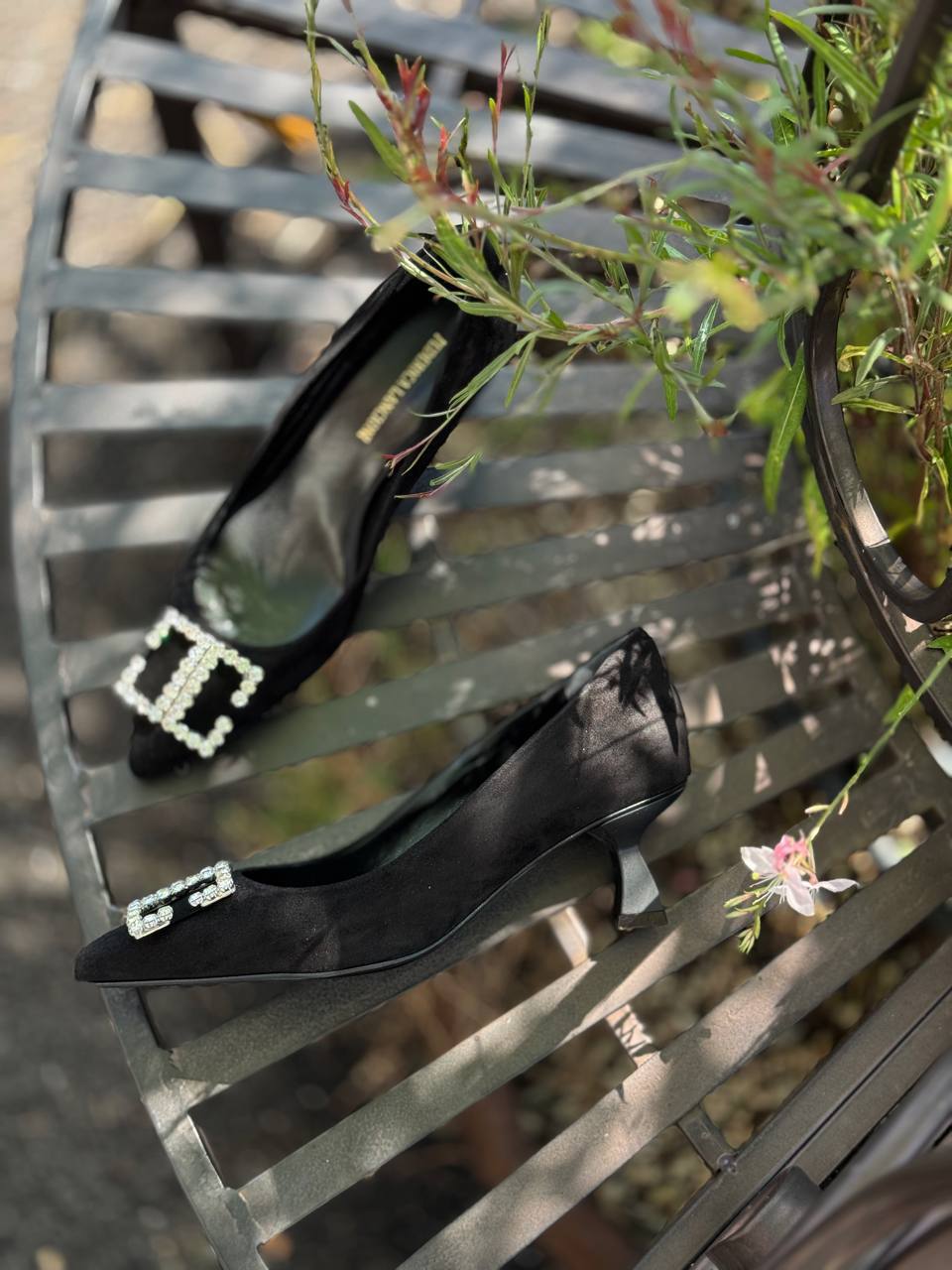 Фото Federica Lancioni