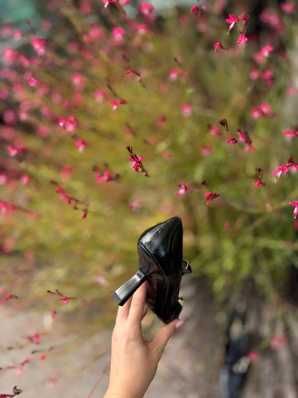 Фото Federica Lancioni