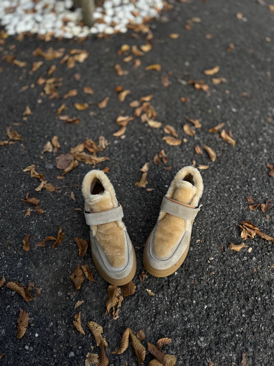 Фото Federica Lancioni