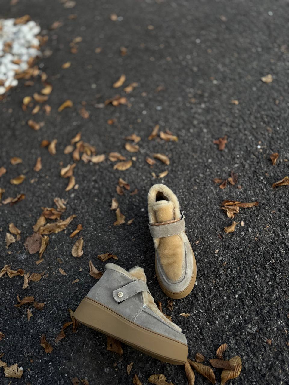 Фото Federica Lancioni