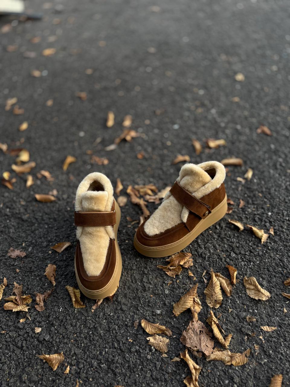 Фото Federica Lancioni