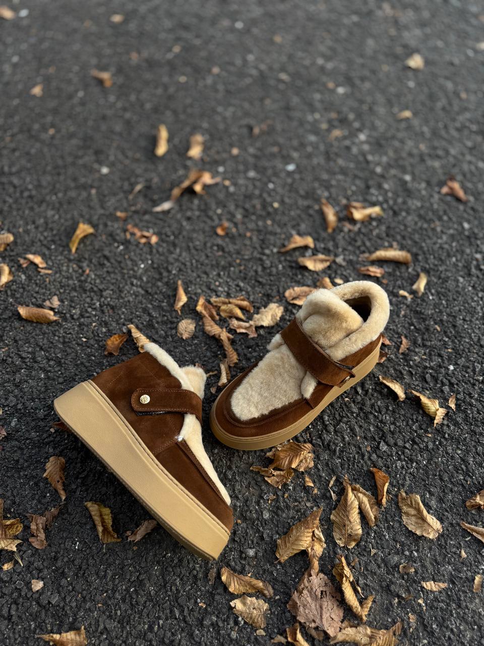 Фото Federica Lancioni