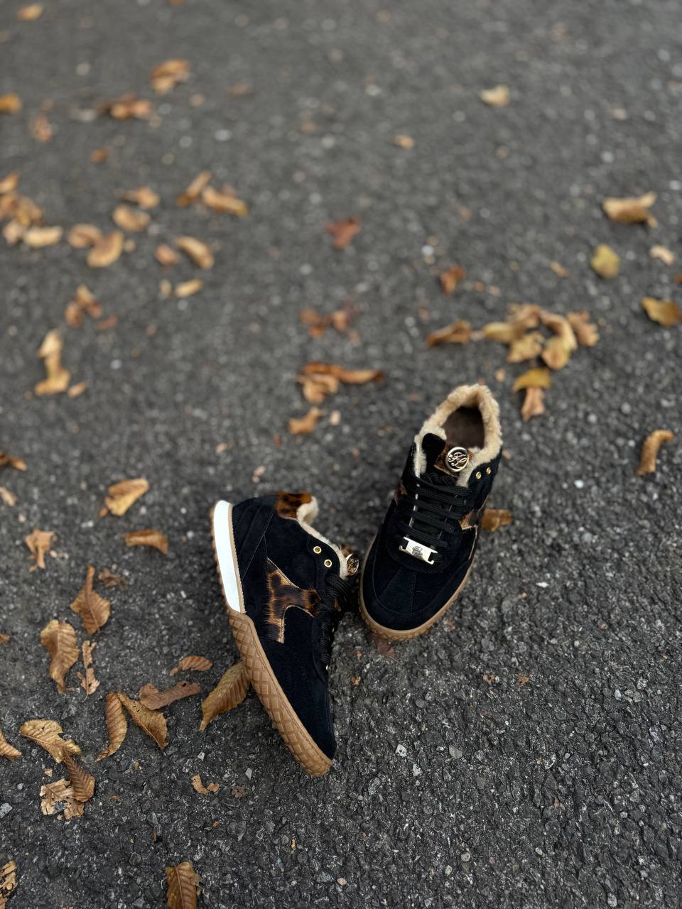 Фото Federica Lancioni