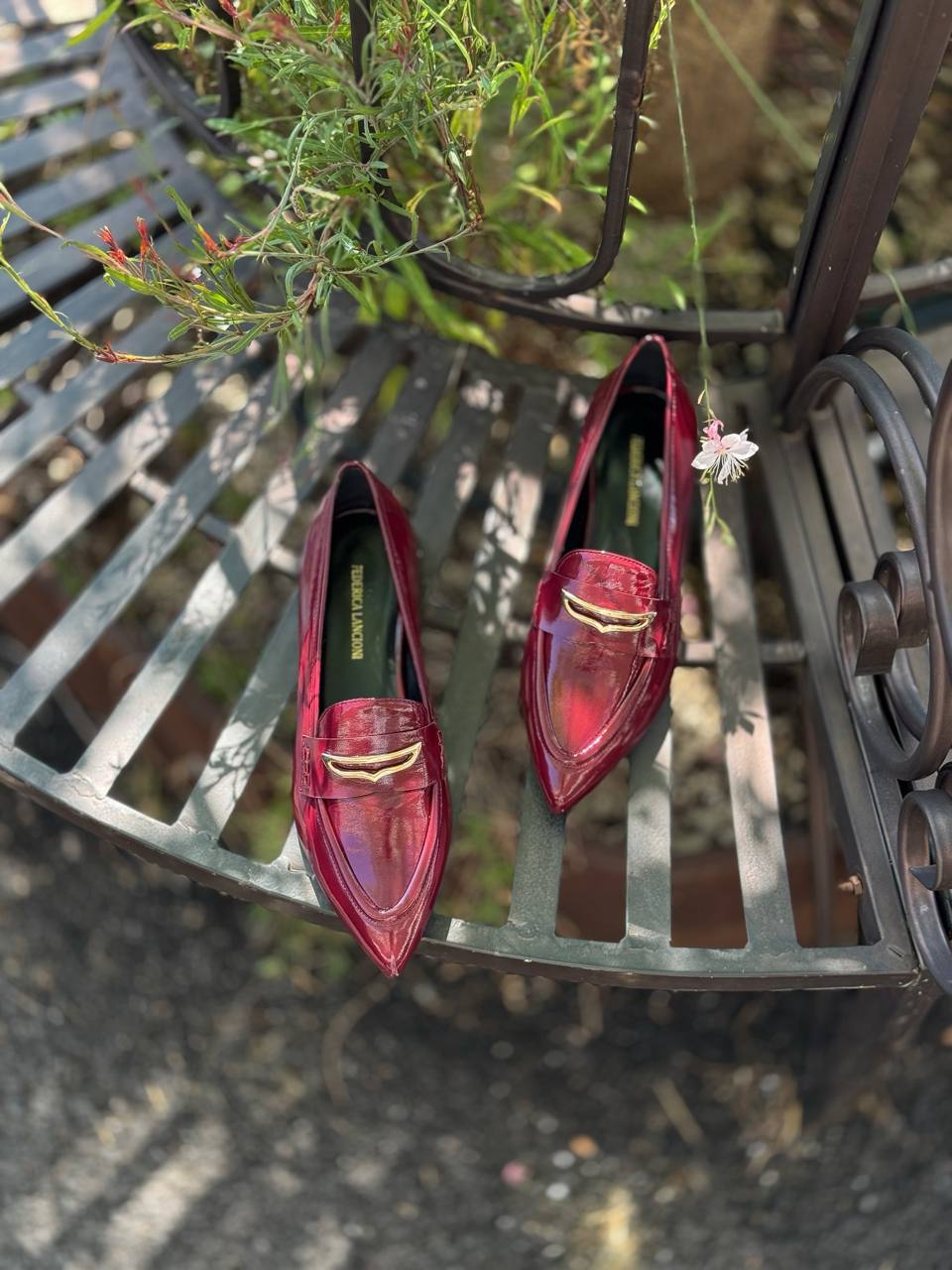 Фото Federica Lancioni