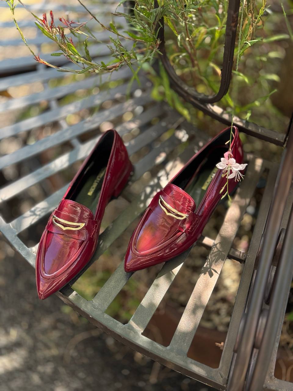 Фото Federica Lancioni