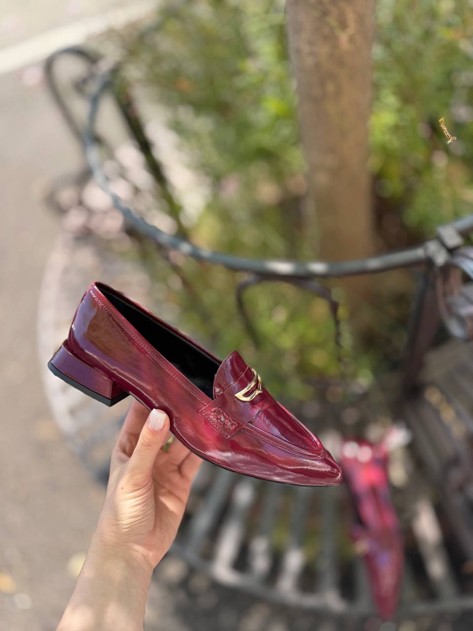 Фото Federica Lancioni