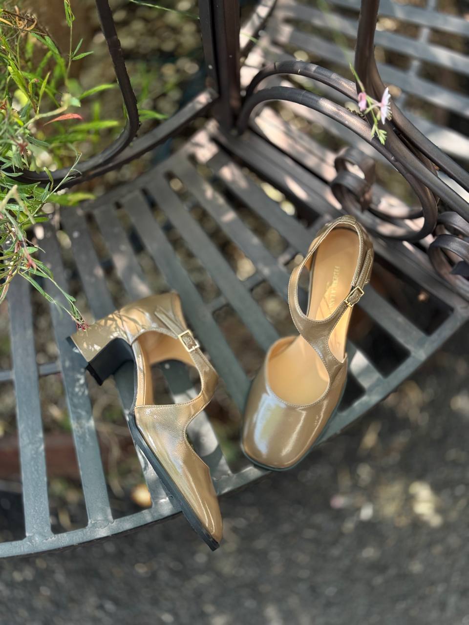 Фото Federica Lancioni