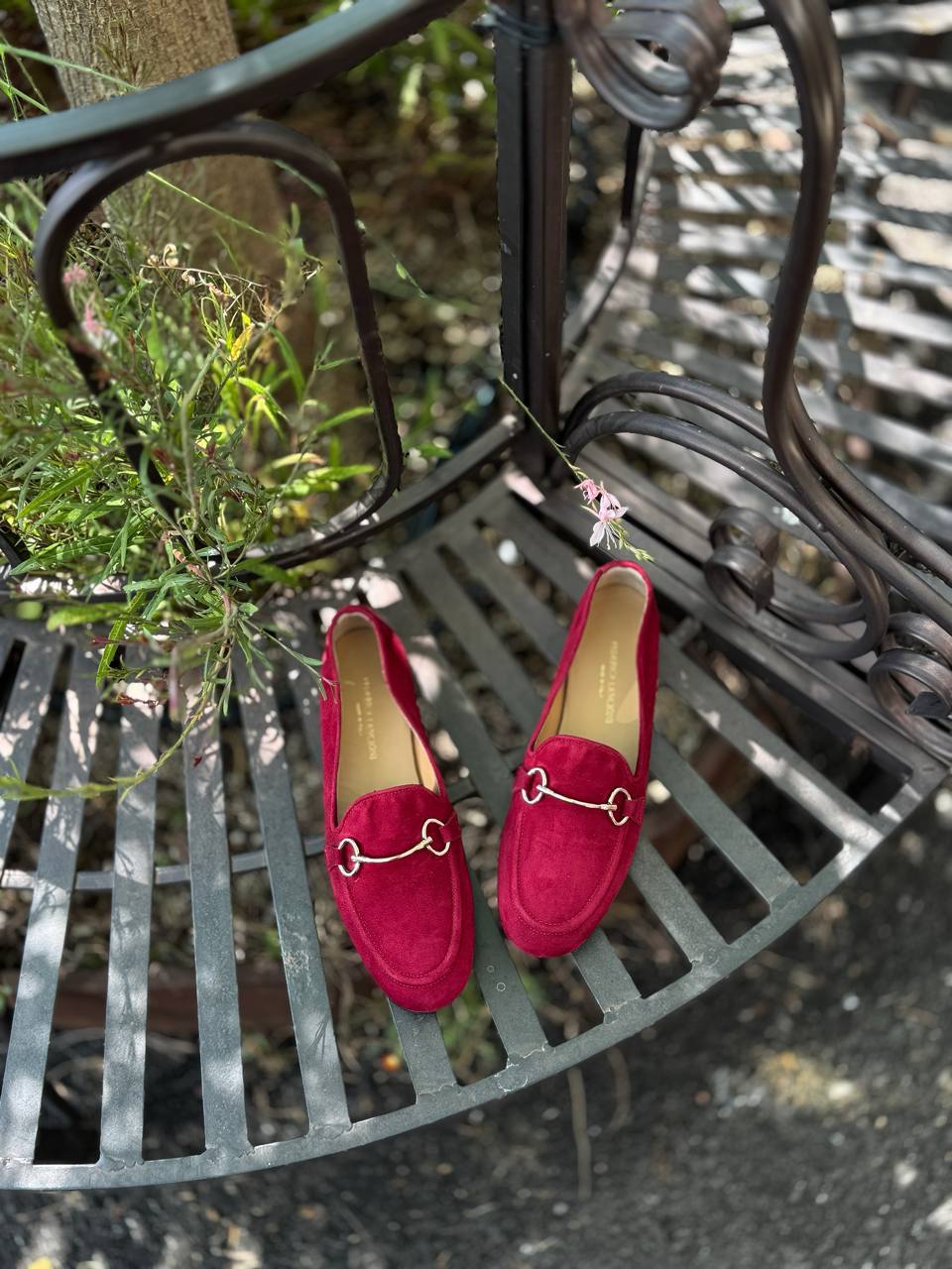 Фото Federica Lancioni