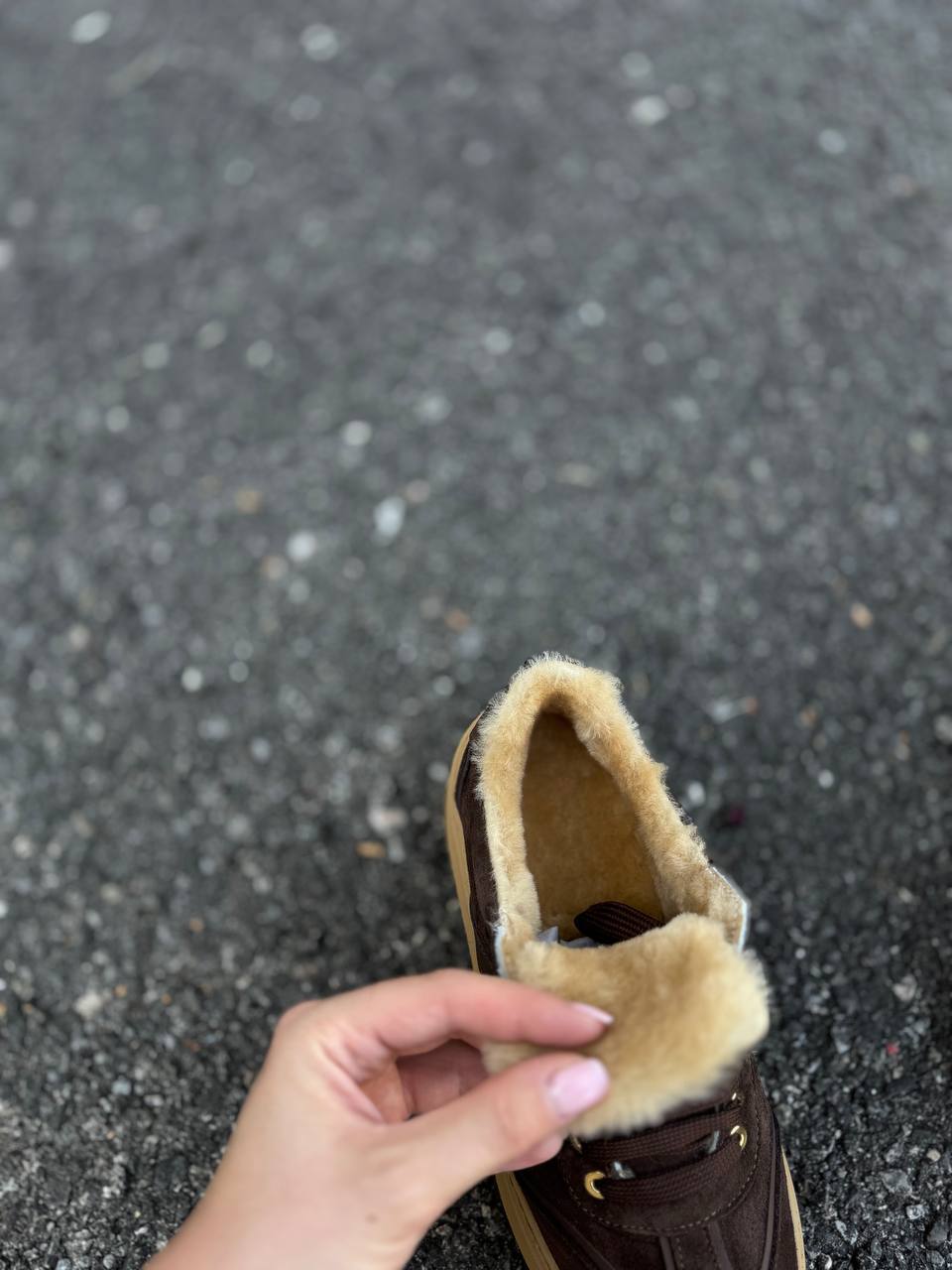 Фото Federica Lancioni