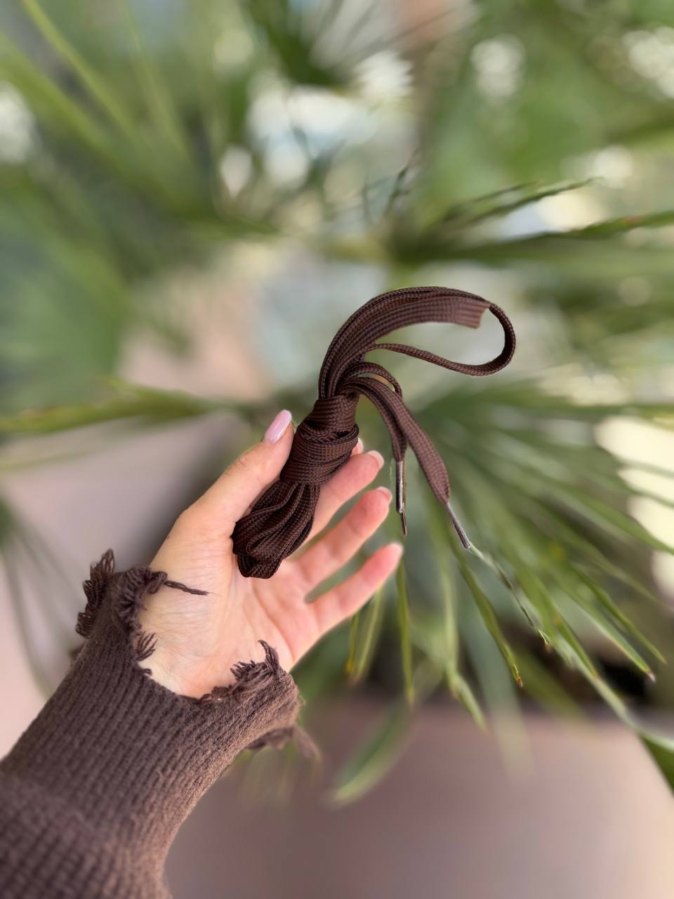 Фото Federica Lancioni