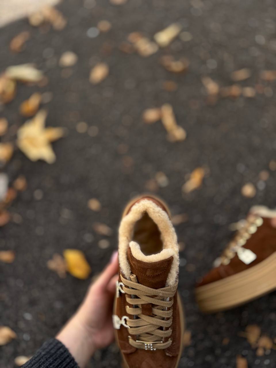 Фото Federica Lancioni