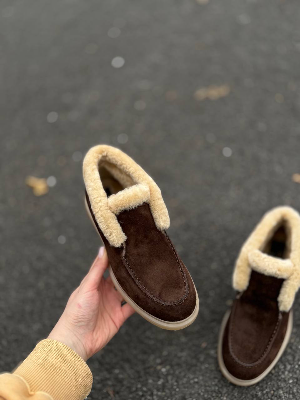 Фото Federica Lancioni