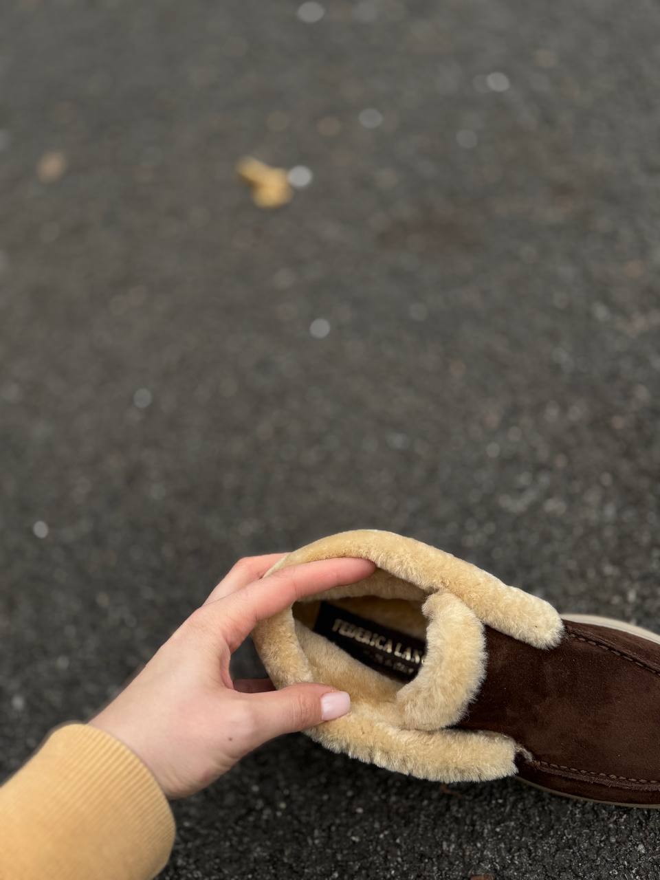 Фото Federica Lancioni