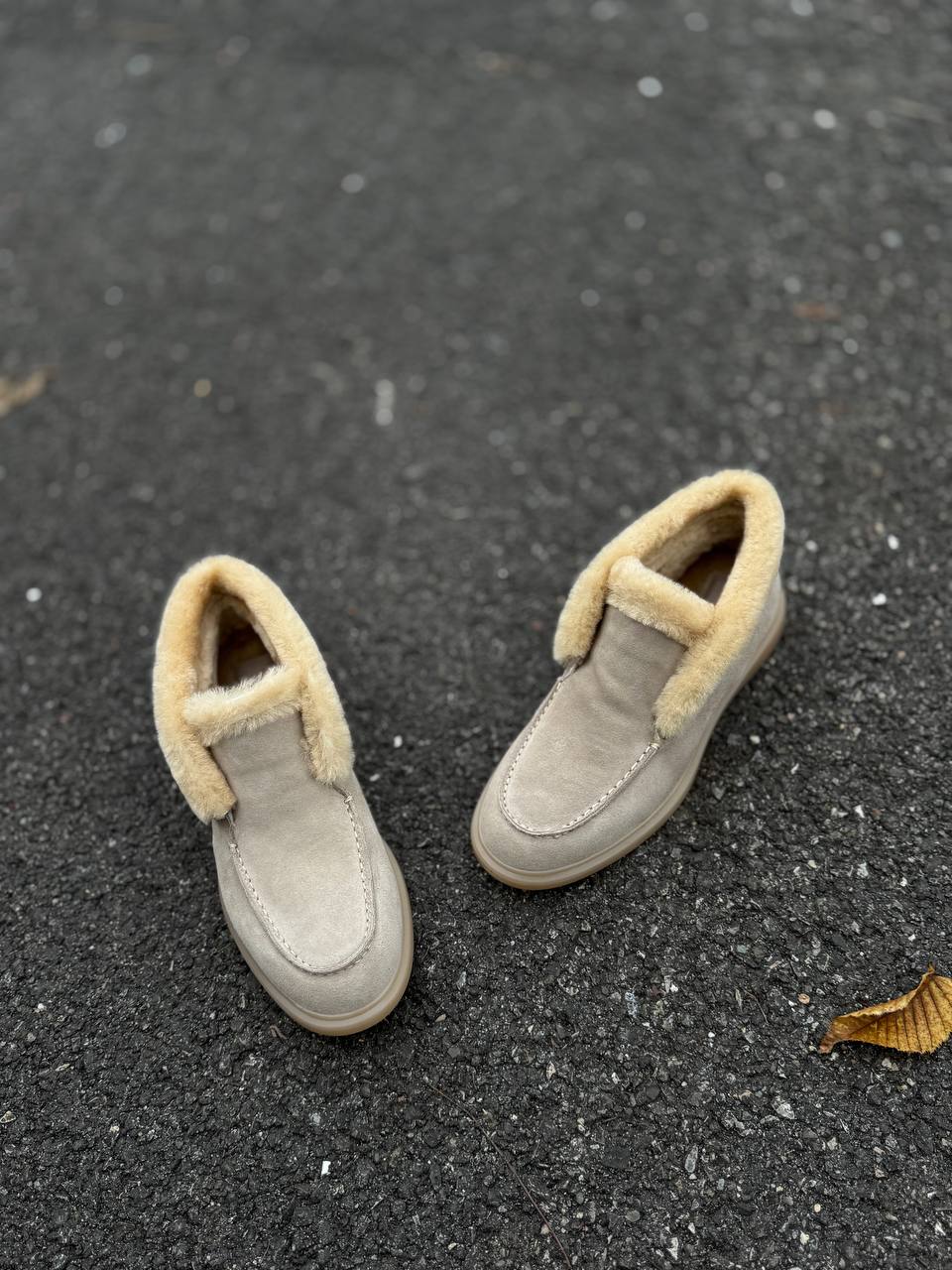 Фото Federica Lancioni