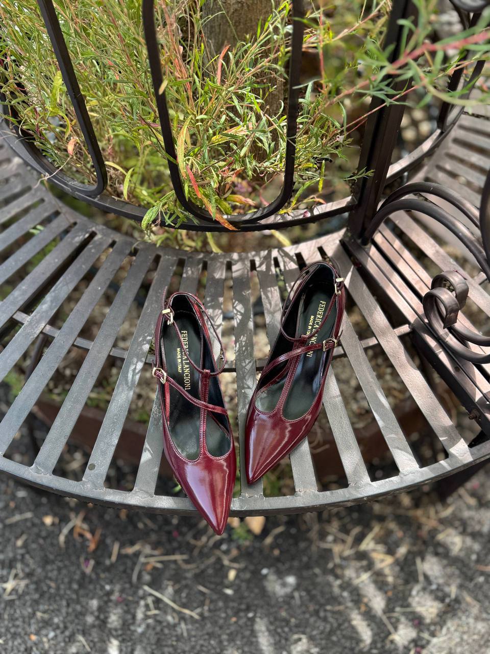 Фото Federica Lancioni