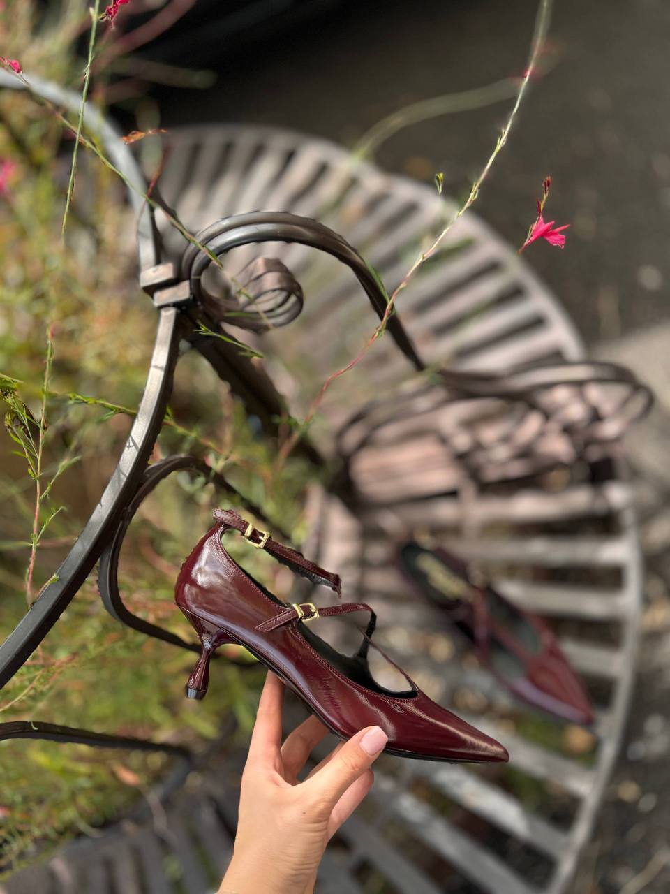 Фото Federica Lancioni