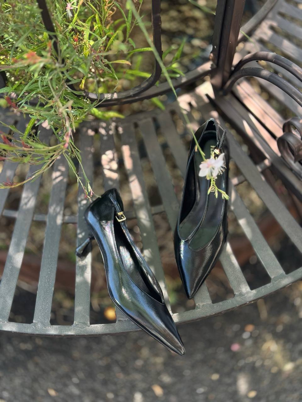 Фото Federica Lancioni