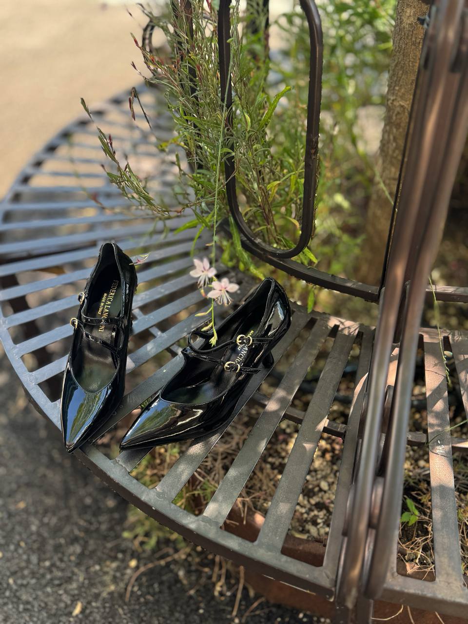 Фото Federica Lancioni