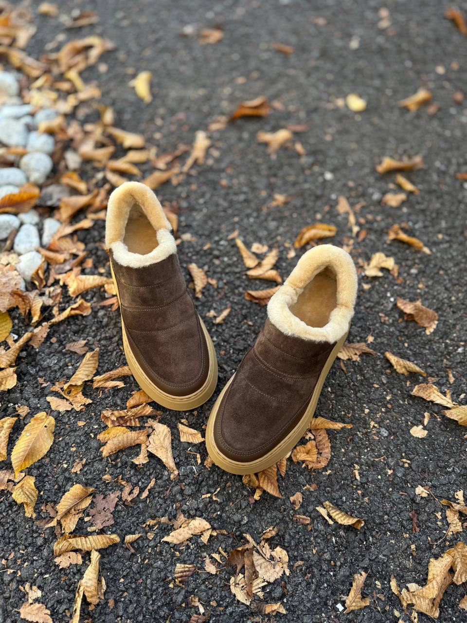 Фото Federica Lancioni