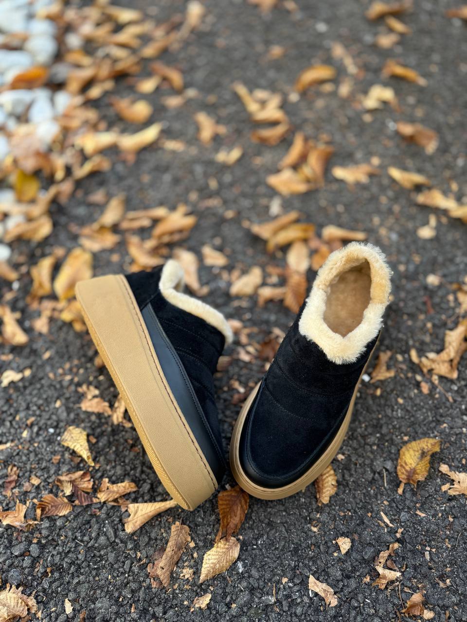 Фото Federica Lancioni