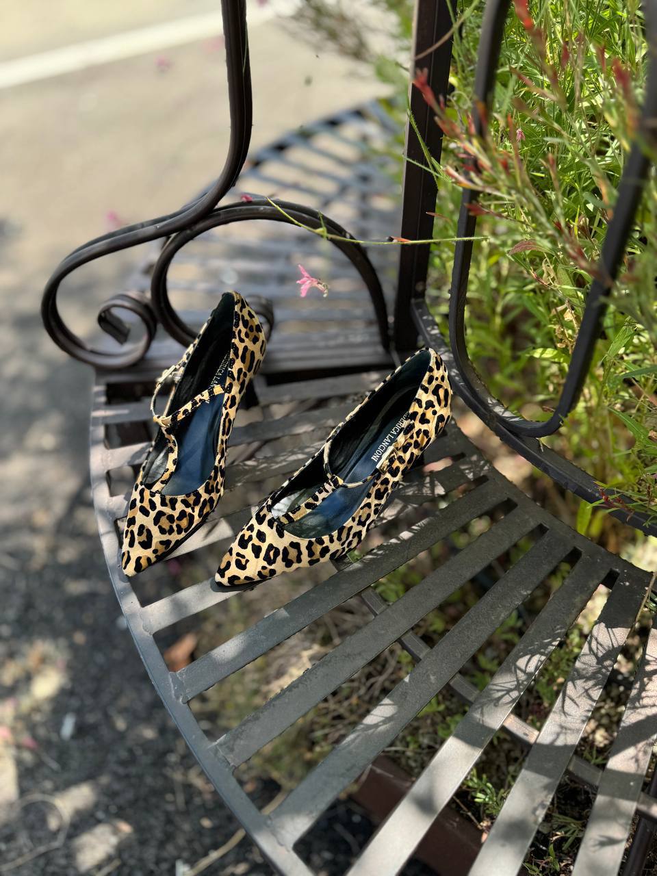 Фото Federica Lancioni