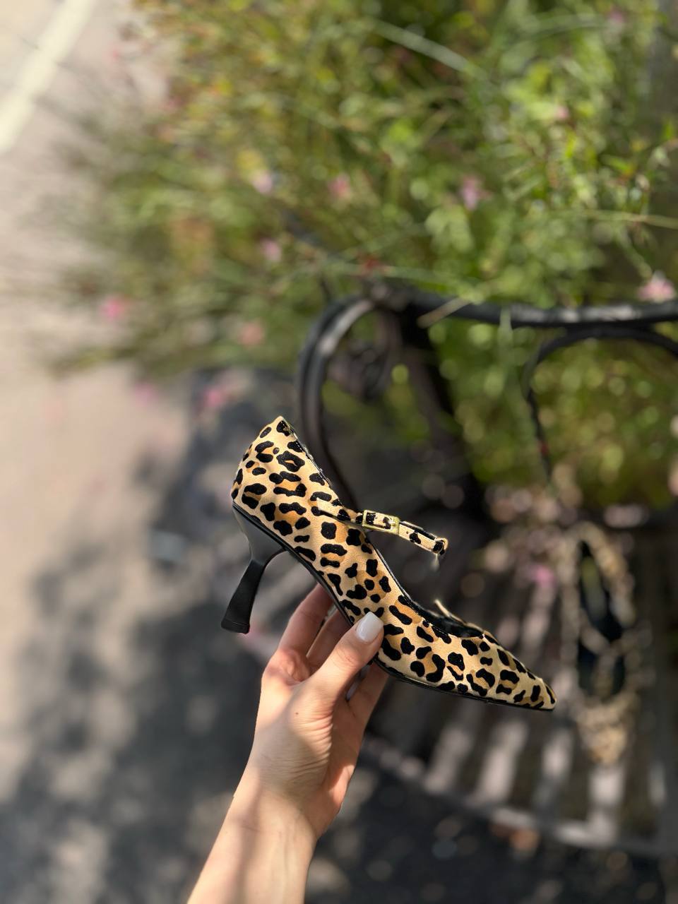 Фото Federica Lancioni