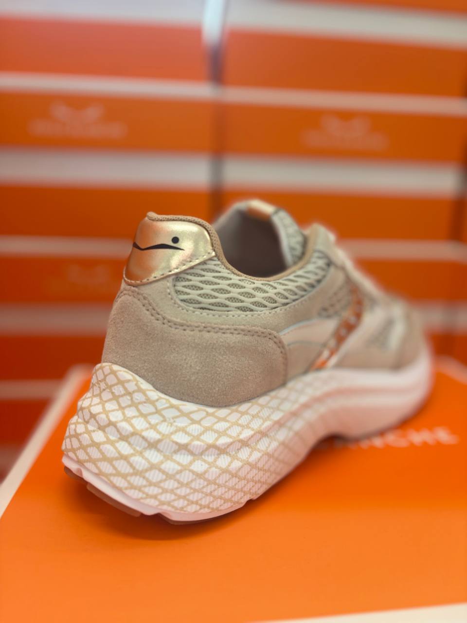 Фото Roberto Serpentini