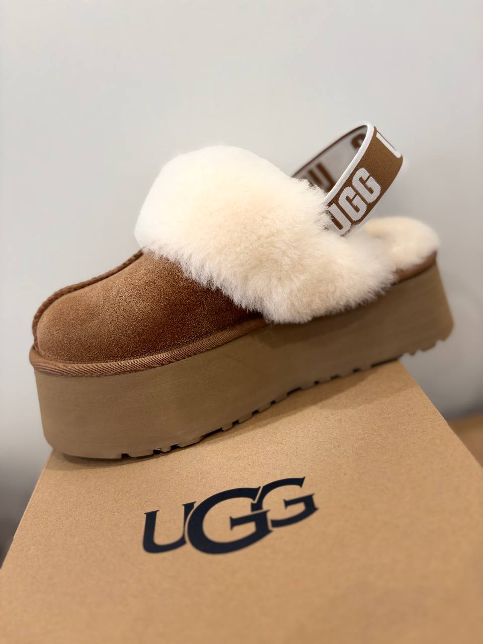 Фото Roberto Serpentini