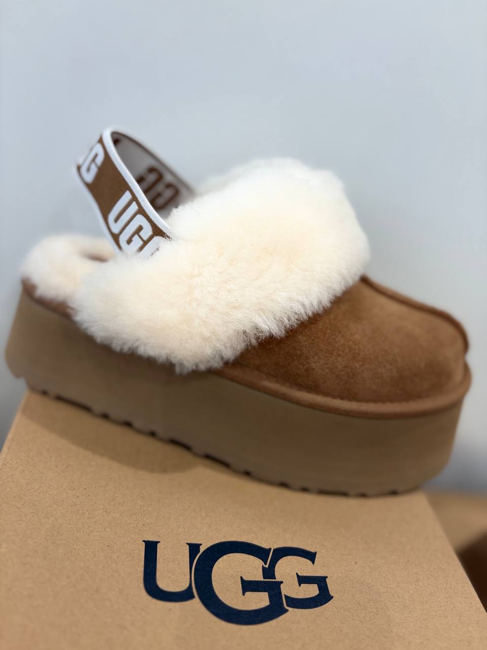 Фото Roberto Serpentini