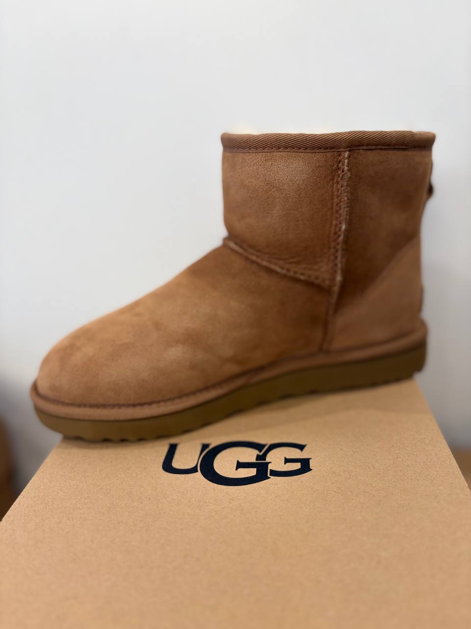 Фото Roberto Serpentini