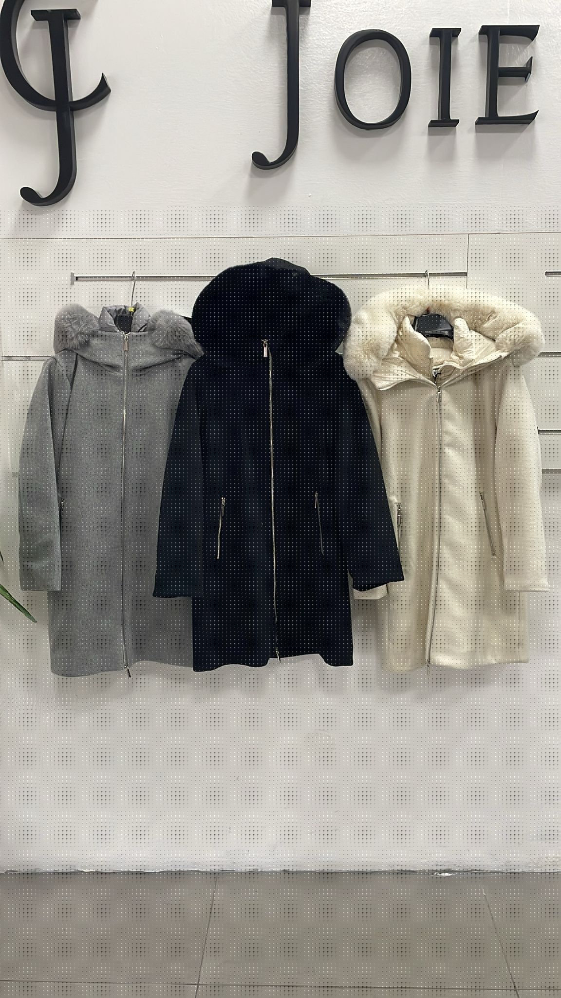 Фото Joie Clair (J-Clair)