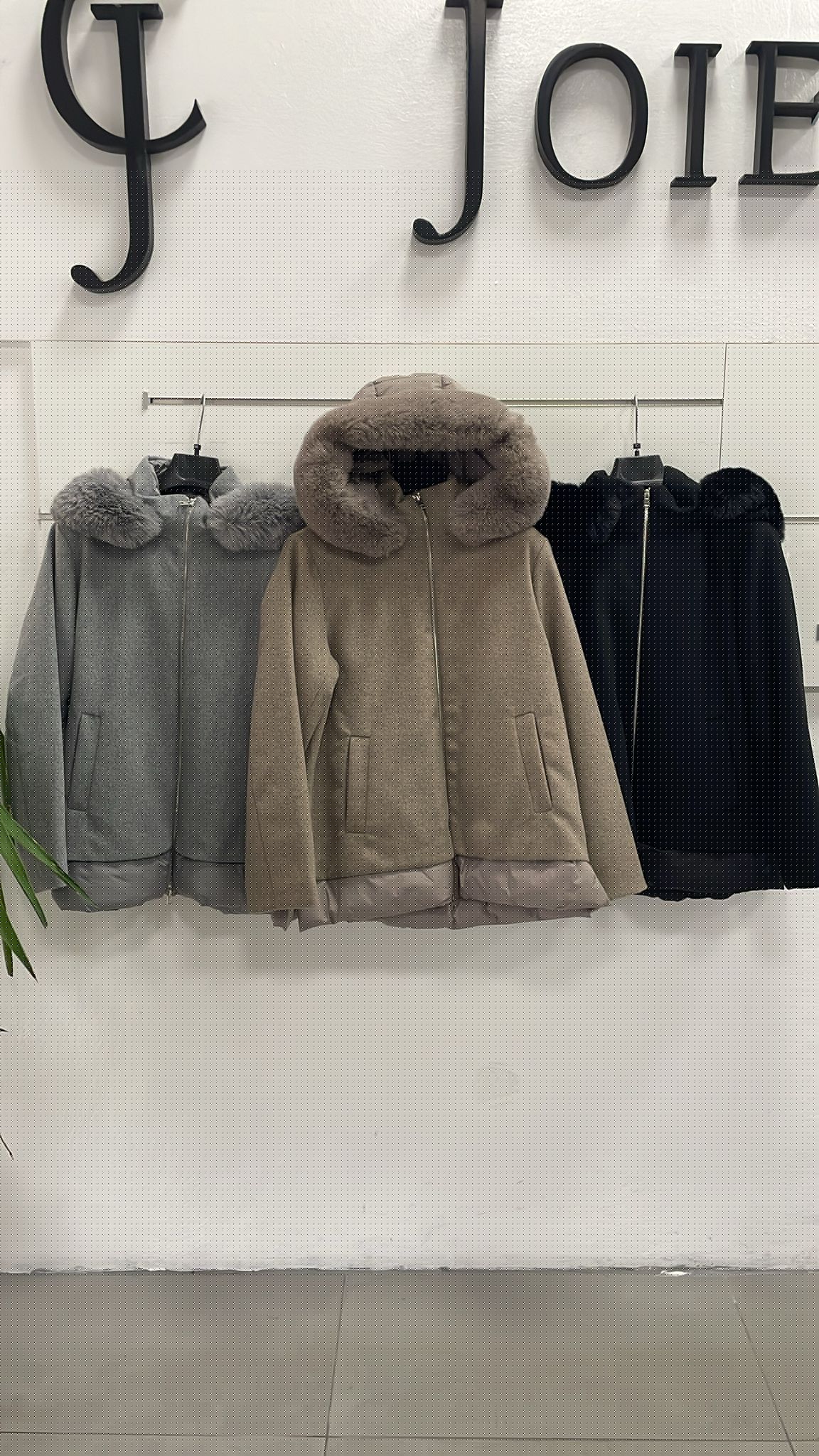 Фото Joie Clair (J-Clair)