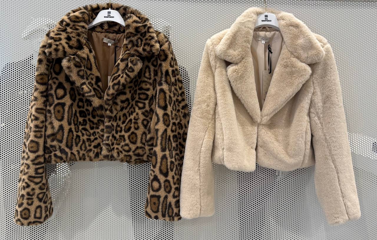 Фото Gil Santucci