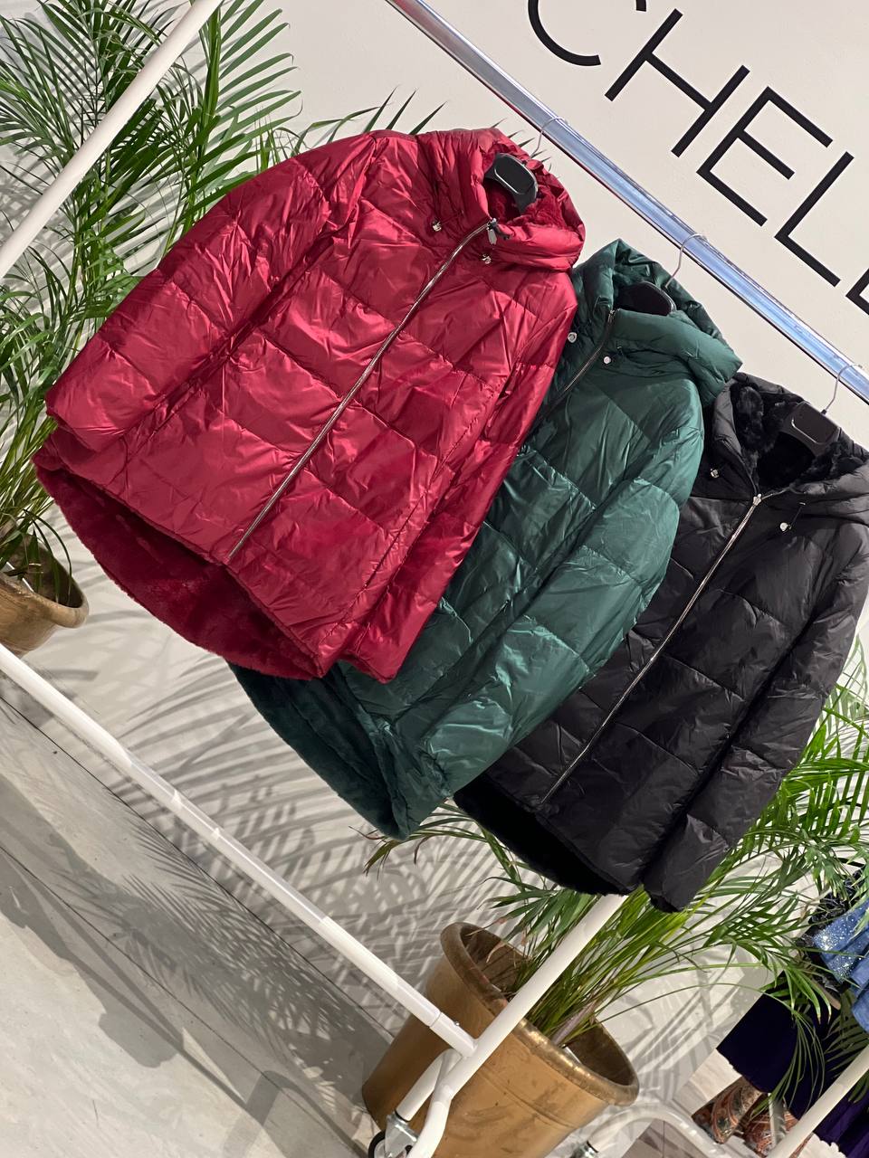 Фото Amelie Follies (Michelle)