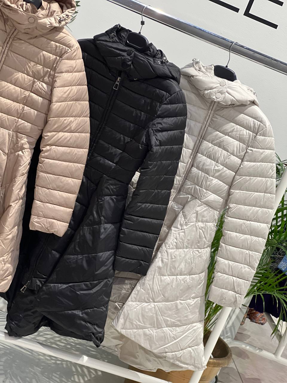 Фото Amelie Follies (Michelle)