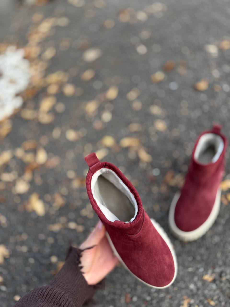 Фото Federica Lancioni