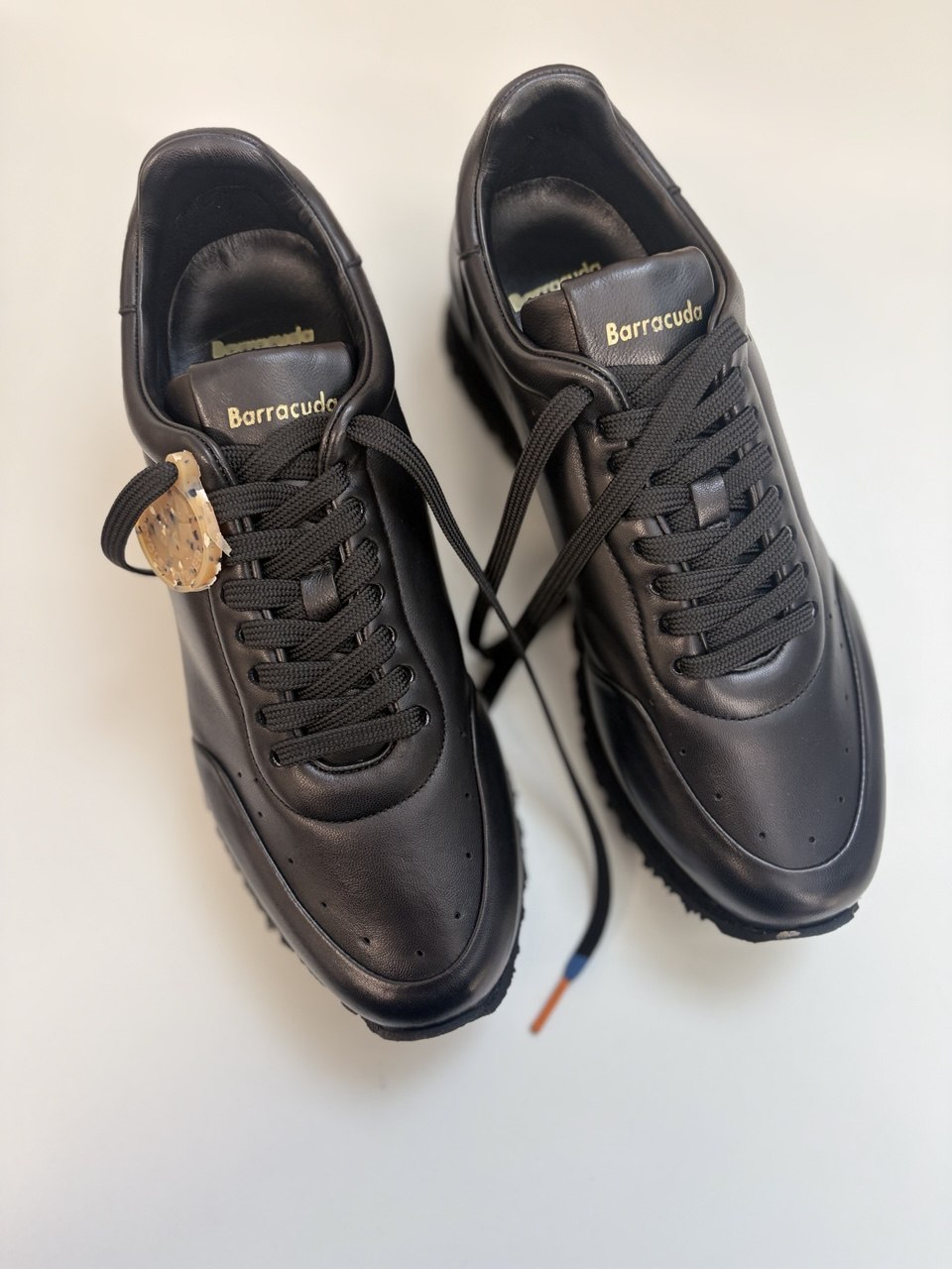 Фото Roberto Serpentini