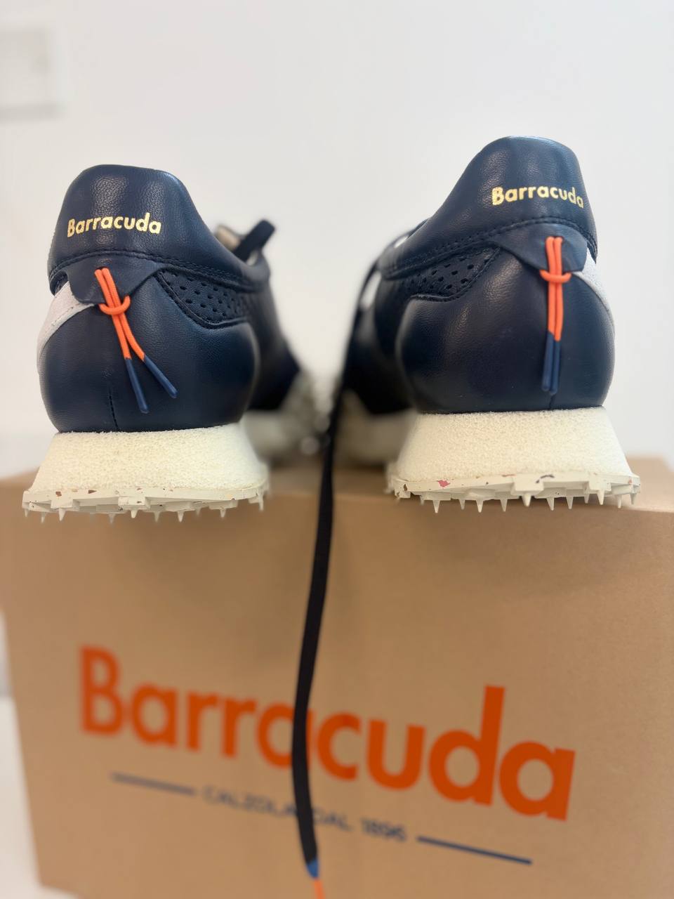 Фото Roberto Serpentini