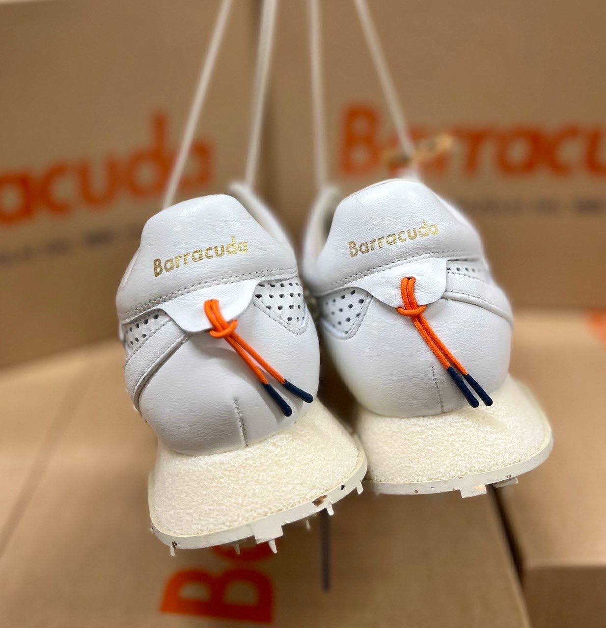 Фото Roberto Serpentini