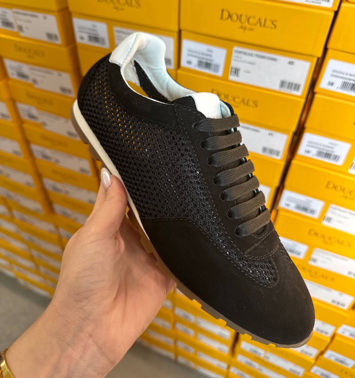 Фото Roberto Serpentini