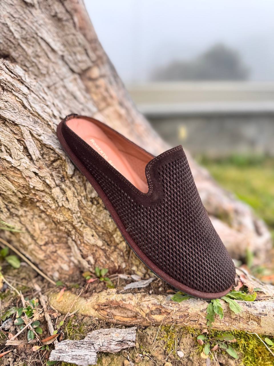 Фото Roberto Serpentini