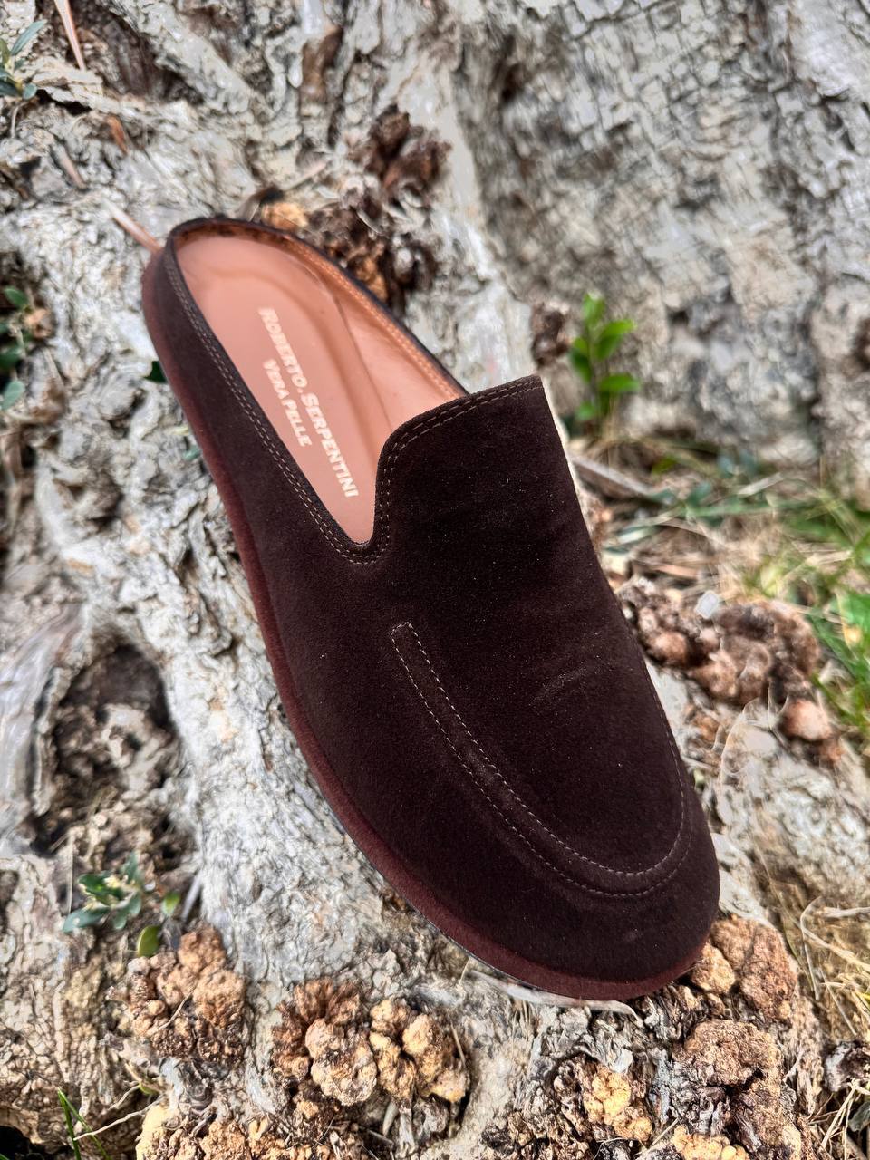 Фото Roberto Serpentini