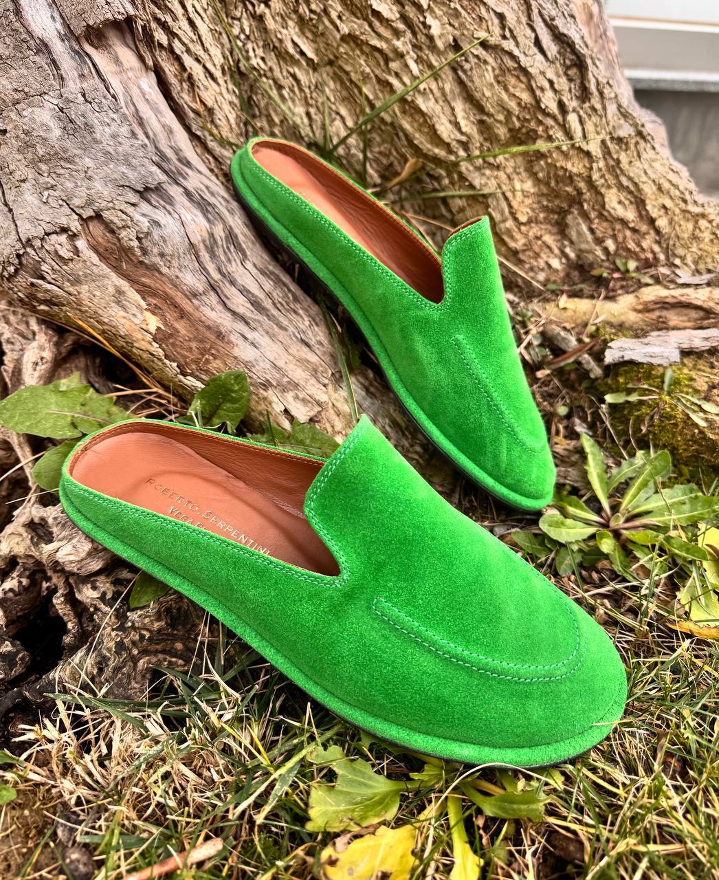 Фото Roberto Serpentini