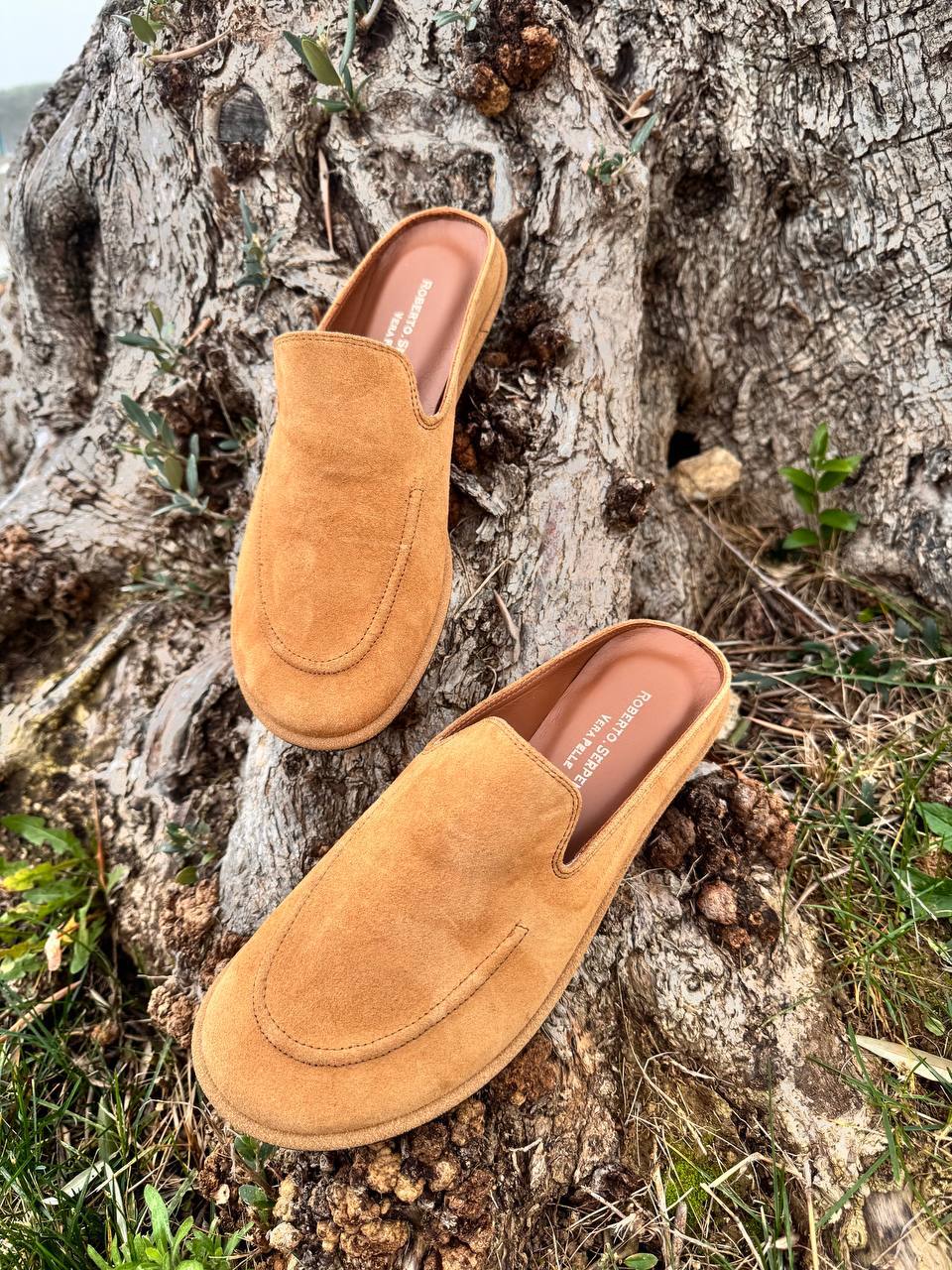 Фото Roberto Serpentini